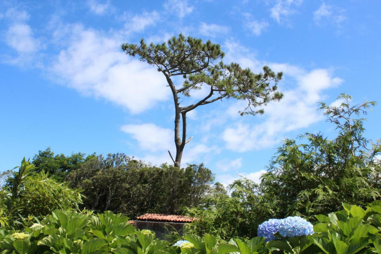 Quinta Do Torreao Villa Capelas Buitenkant foto